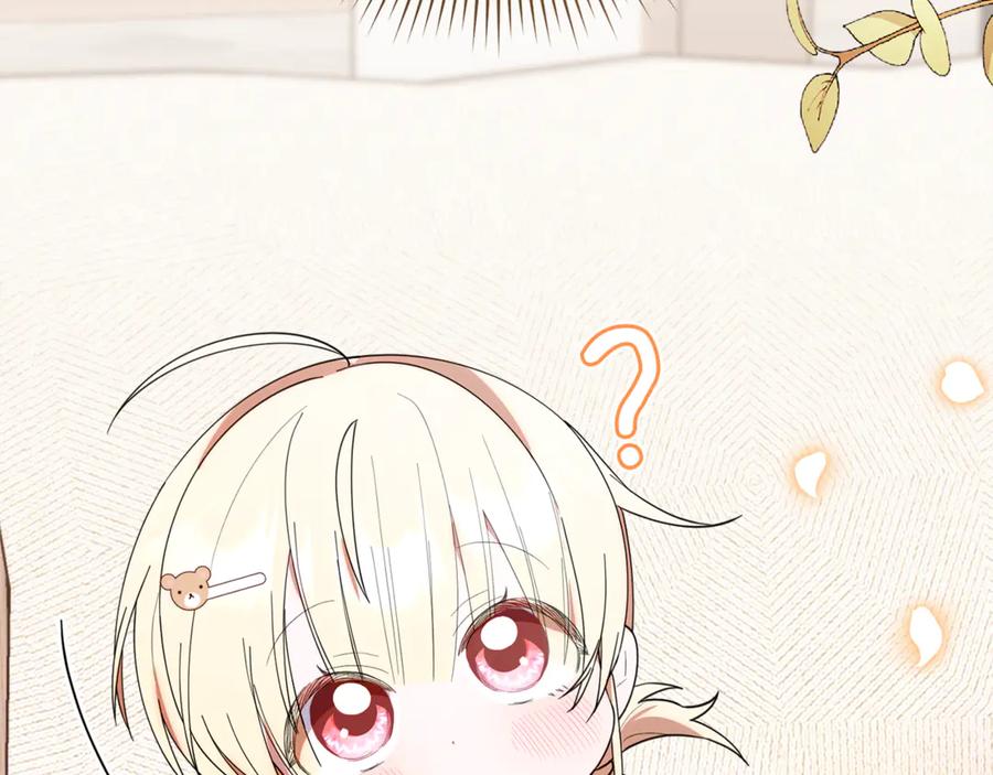 第211页