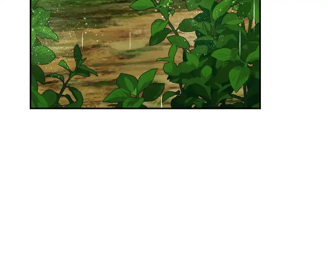 第215页