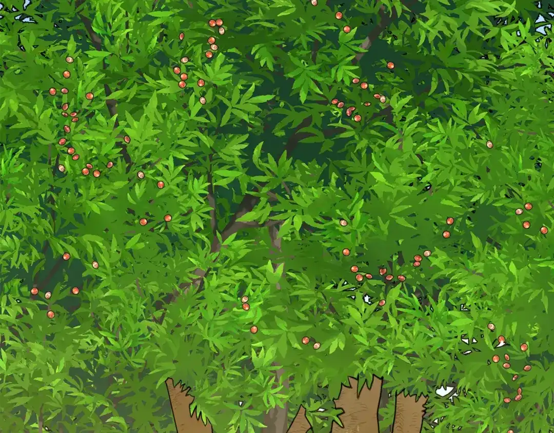 小鸡班猎人正在尽孝 第72话 寻找特殊橡果 第130页