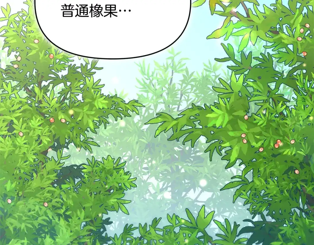 小鸡班猎人正在尽孝 第72话 寻找特殊橡果 第152页