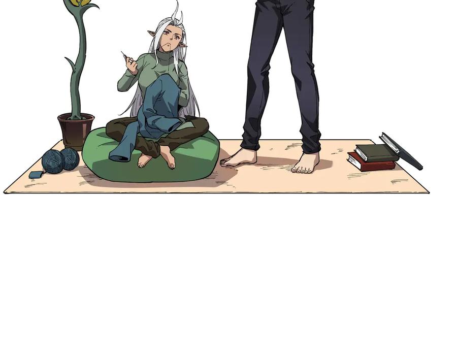 第204页