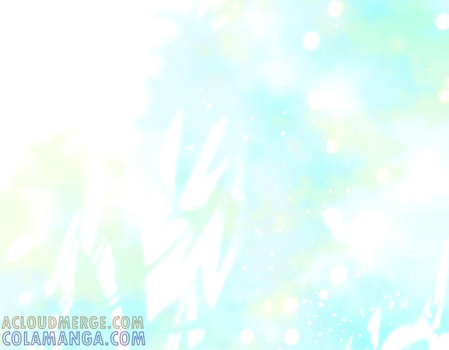 第233页