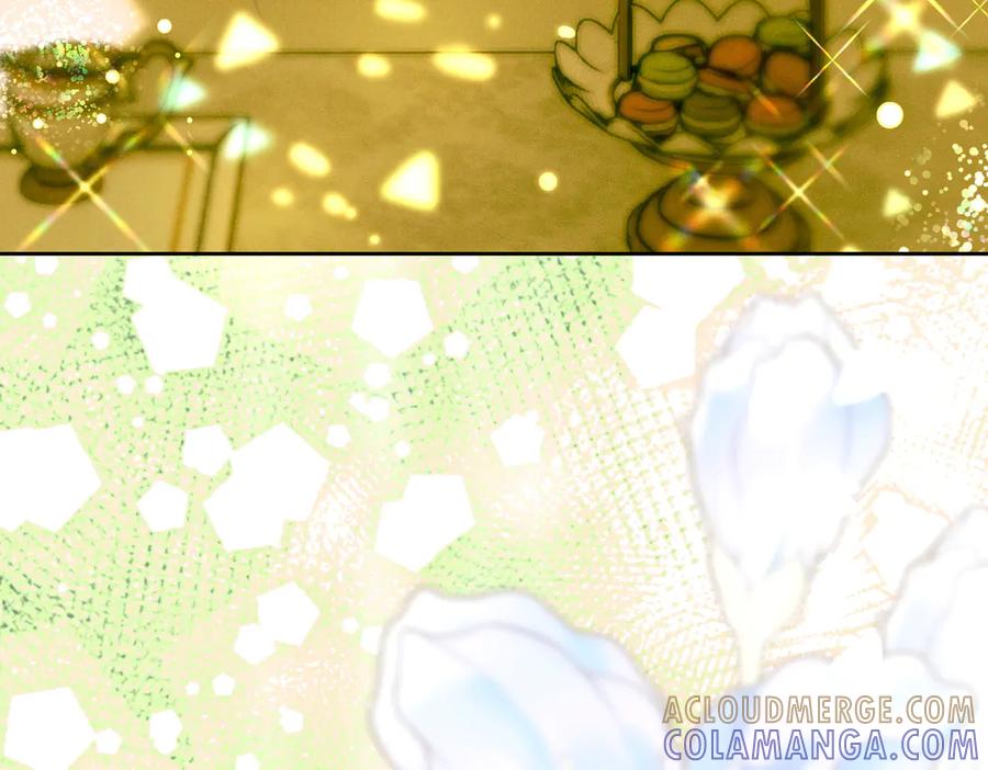 第217页
