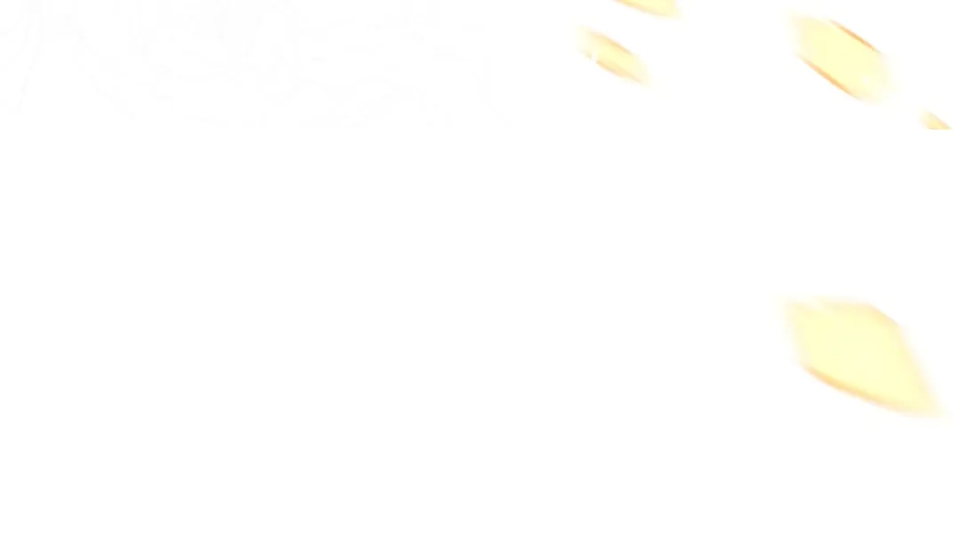 第217页