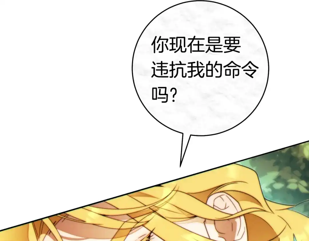第223页