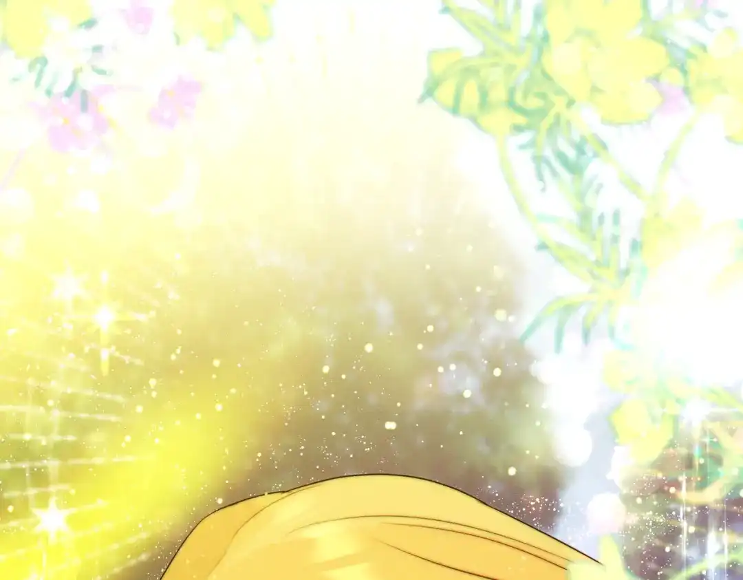 第237页