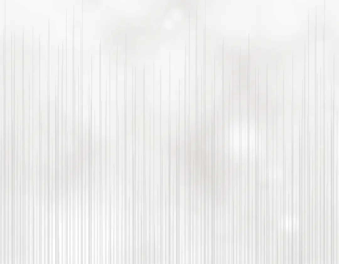 第206页