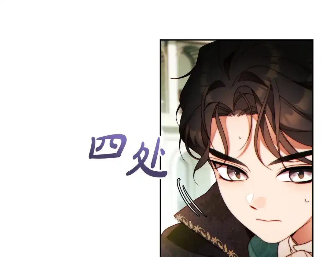 第185页