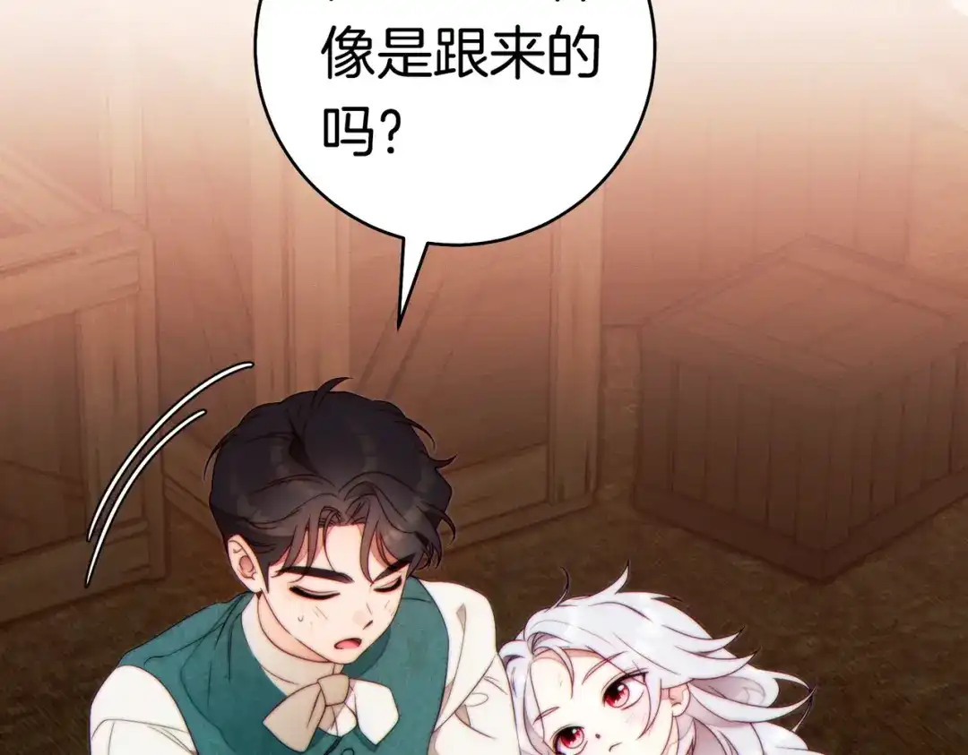 第205页