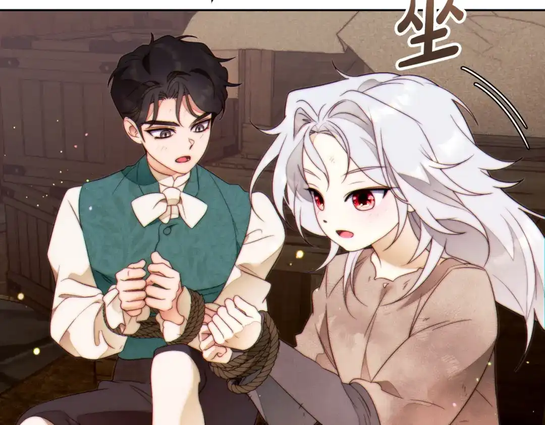 第221页