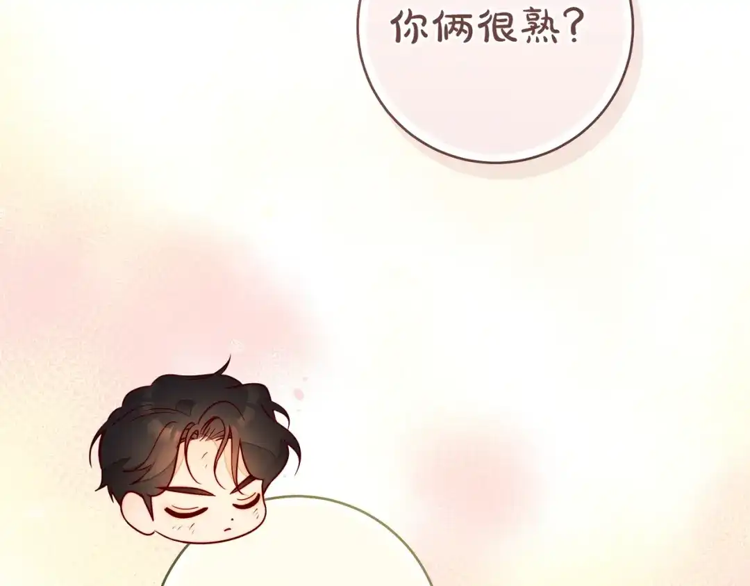第242页