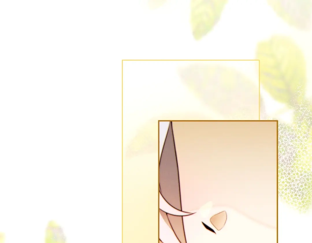 第246页