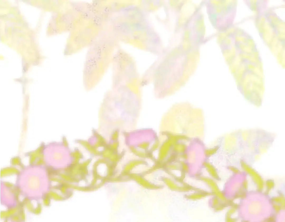 第249页