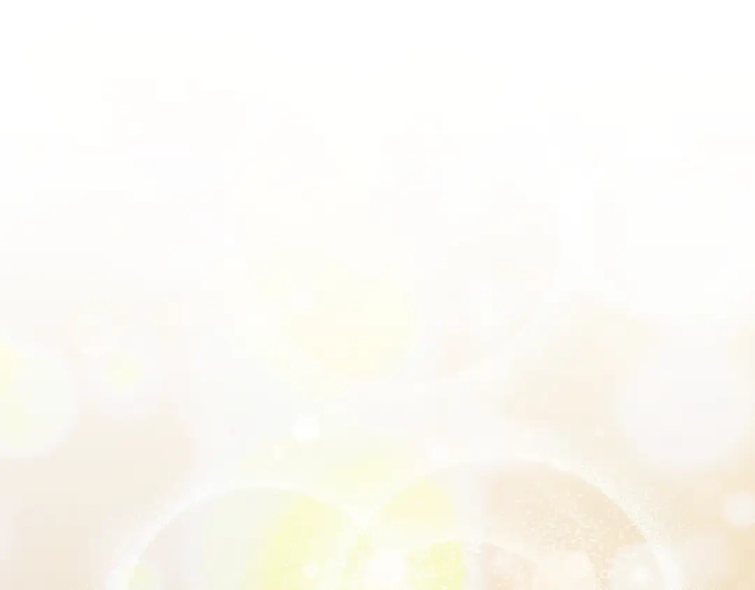 第215页