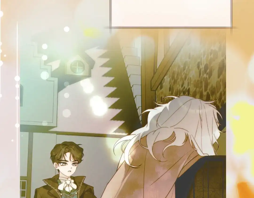 第219页