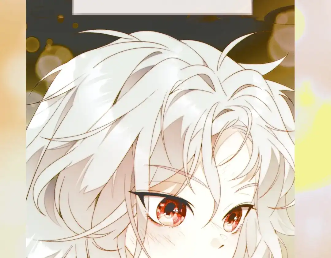 第221页