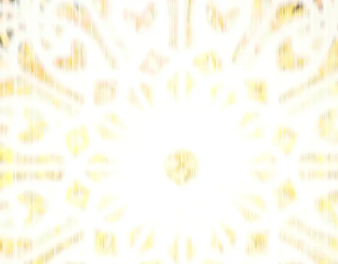 第202页
