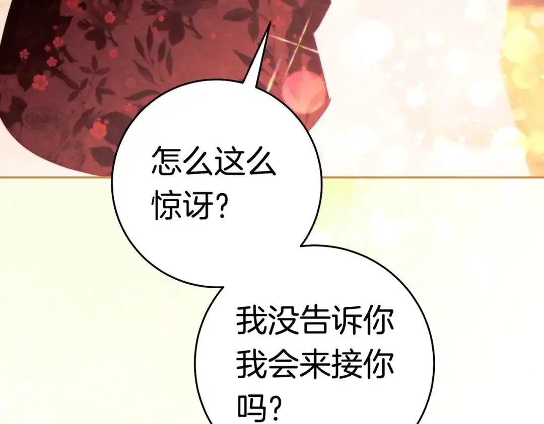 第217页