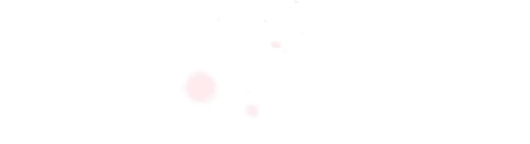 第206页