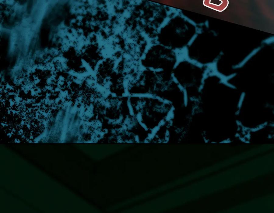 第215页