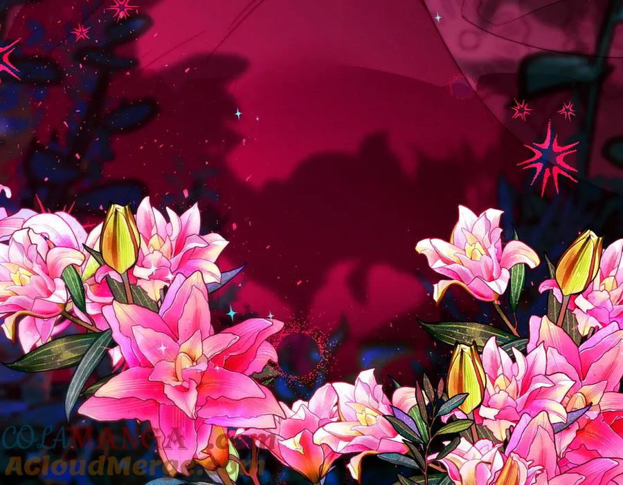 第229页