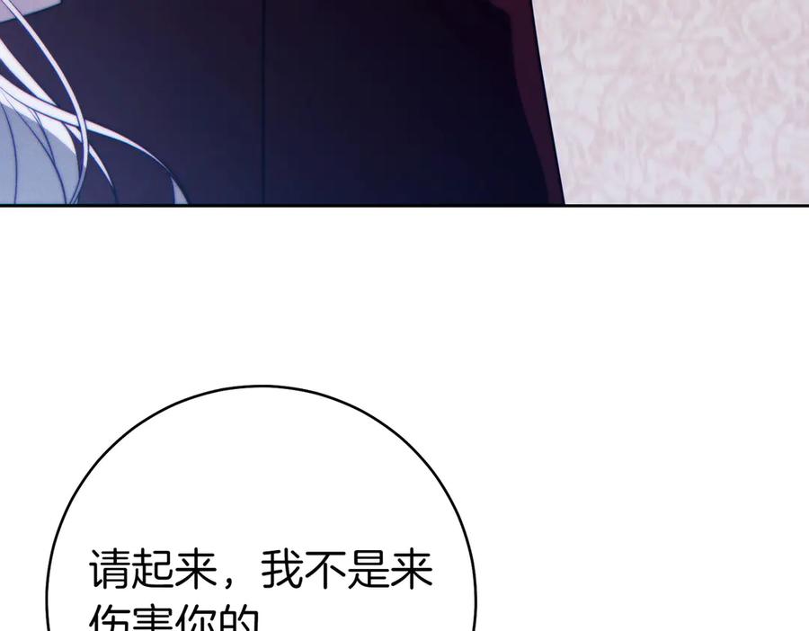 第223页