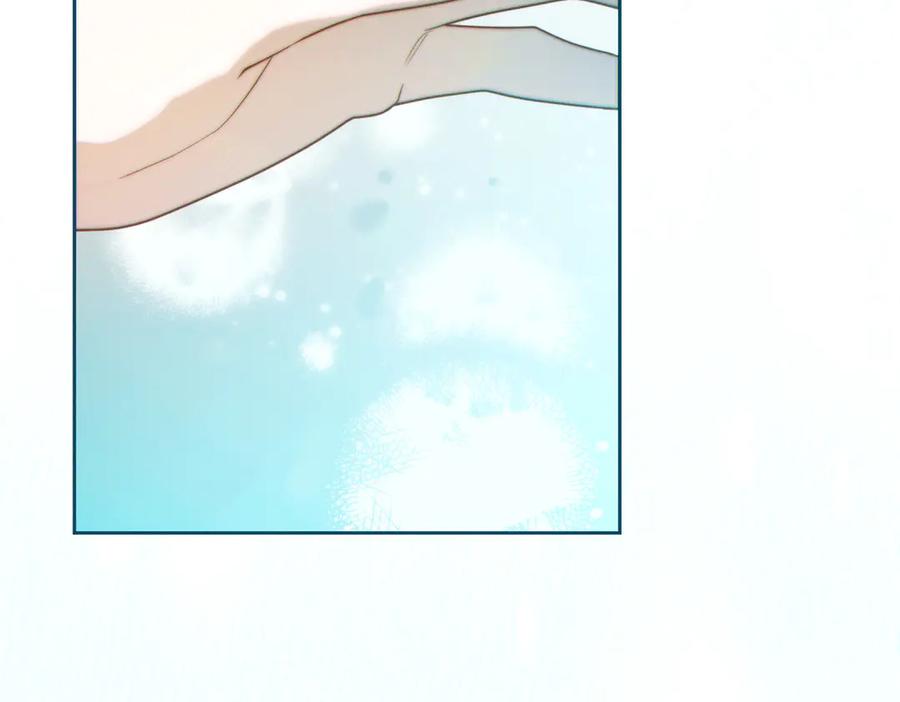 第239页