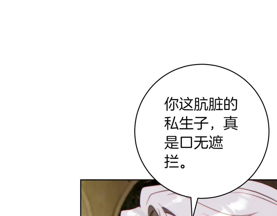 第215页