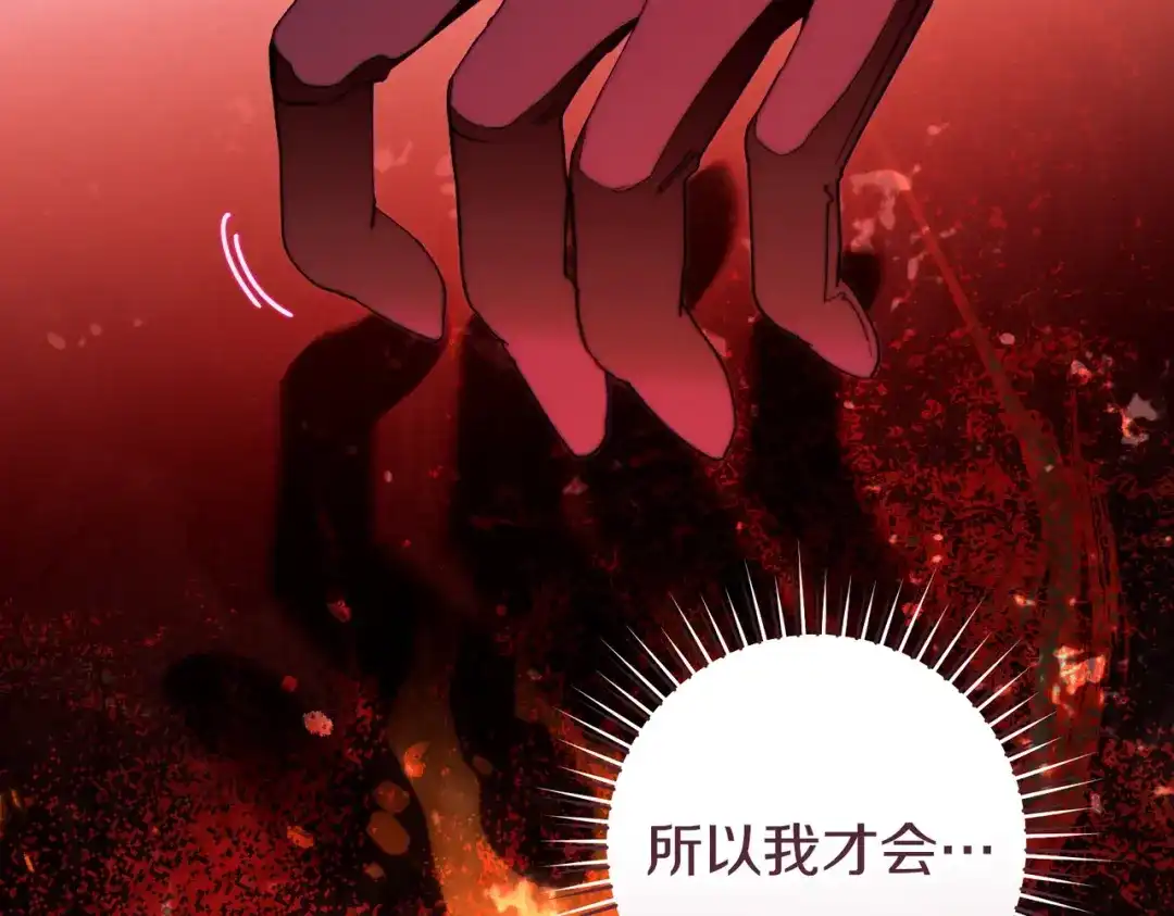 这个婚绝对会成功 第53话 爵位 第204页
