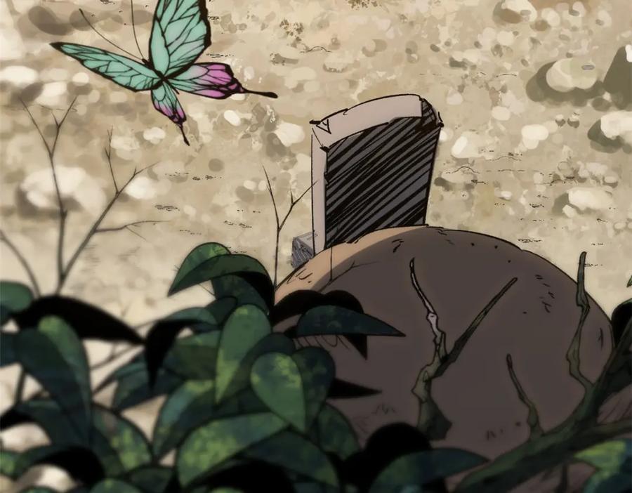 第215页