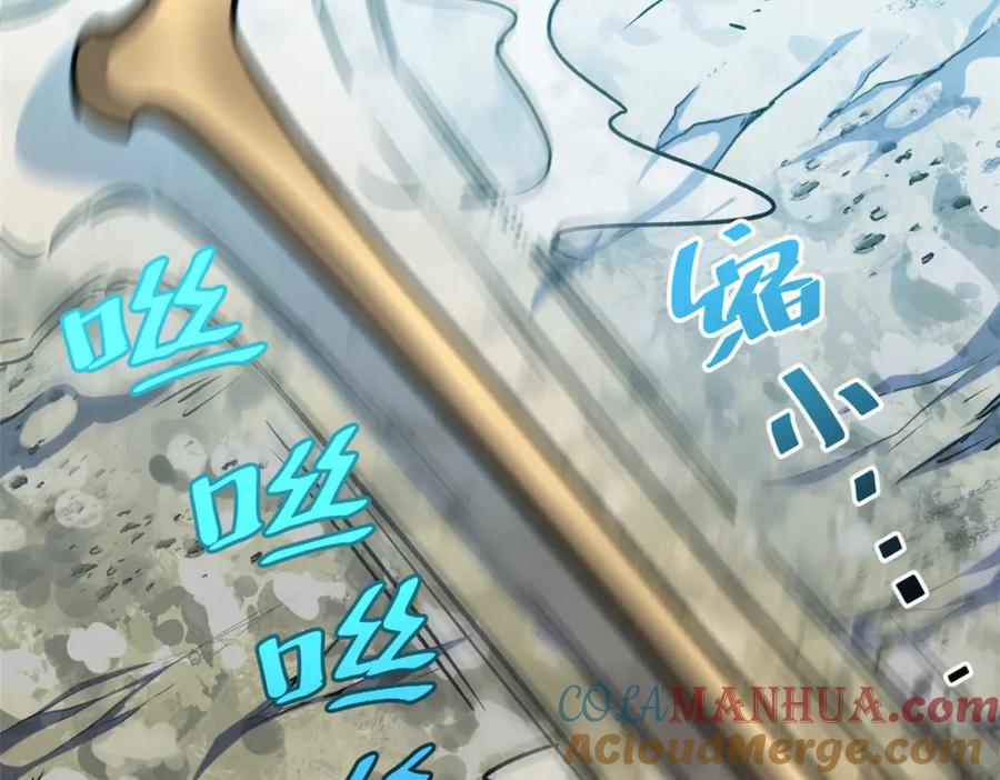 第185页
