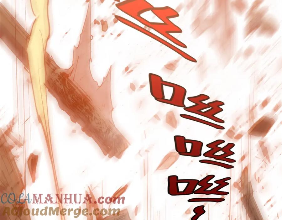 第205页