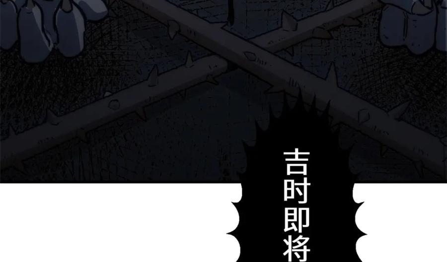 第204页