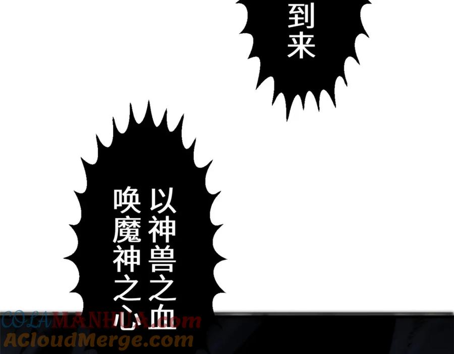 第205页