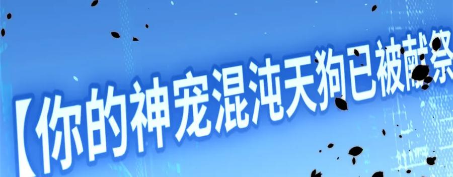 第228页