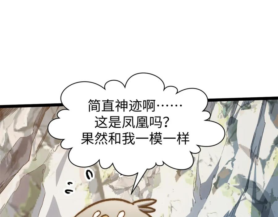 第247页