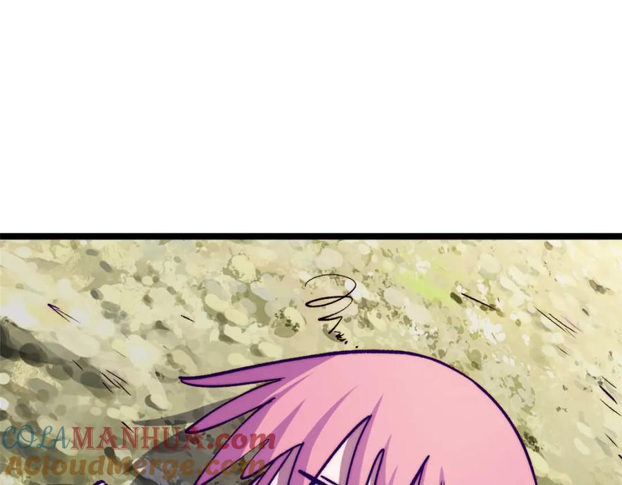 第205页