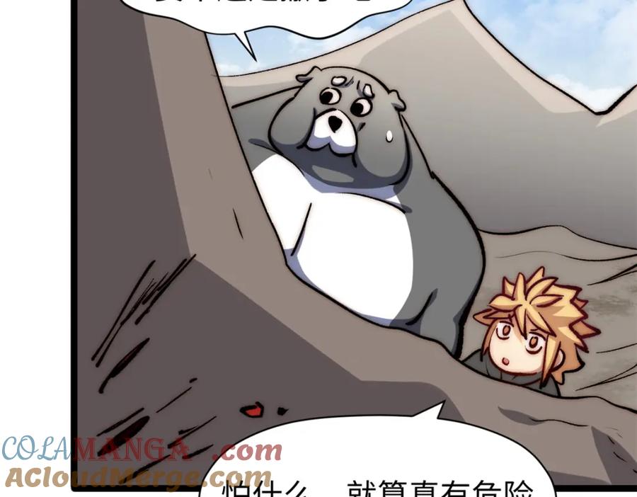 第117页