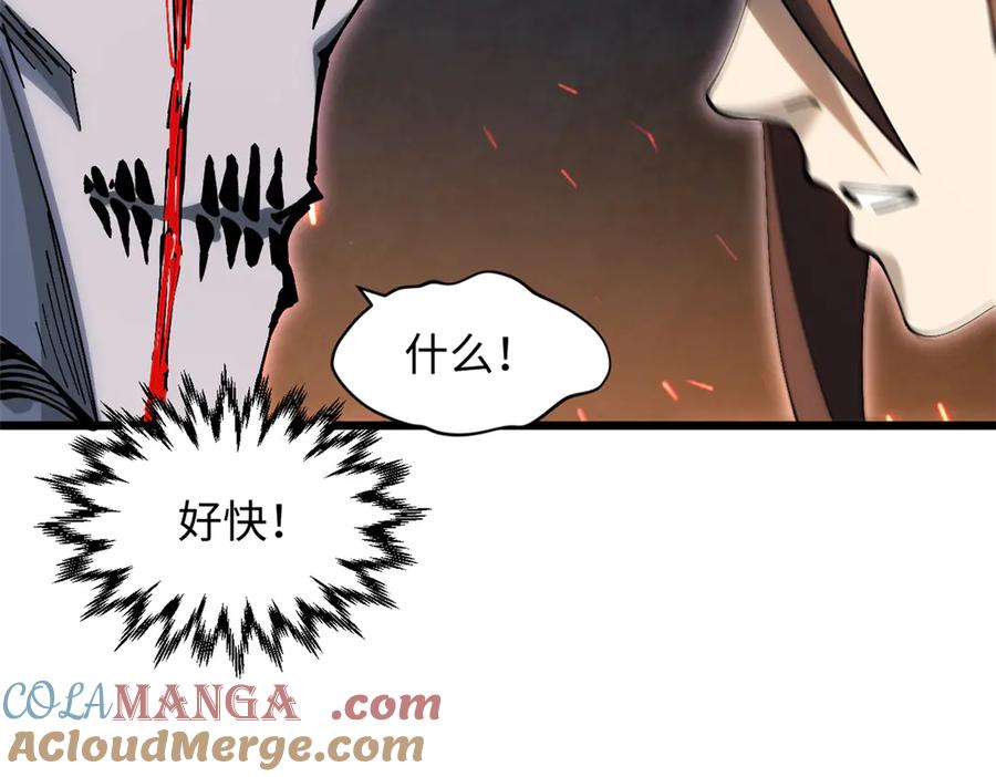 第245页