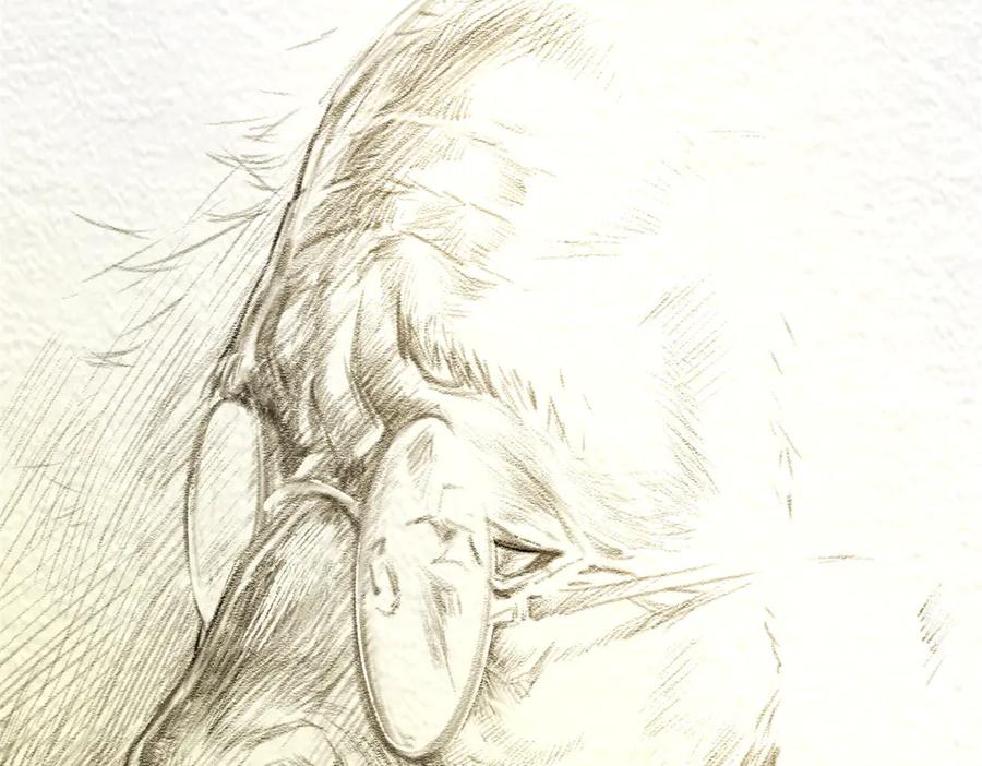 第171页
