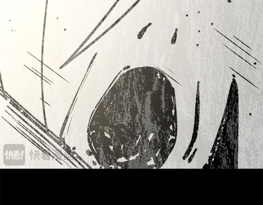 第215页