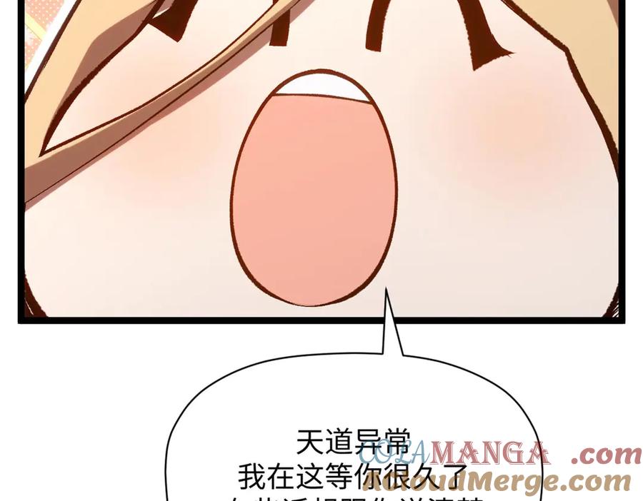 第213页