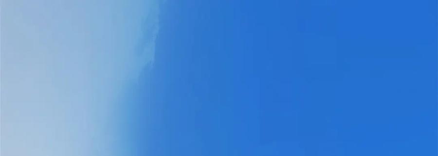 第195页
