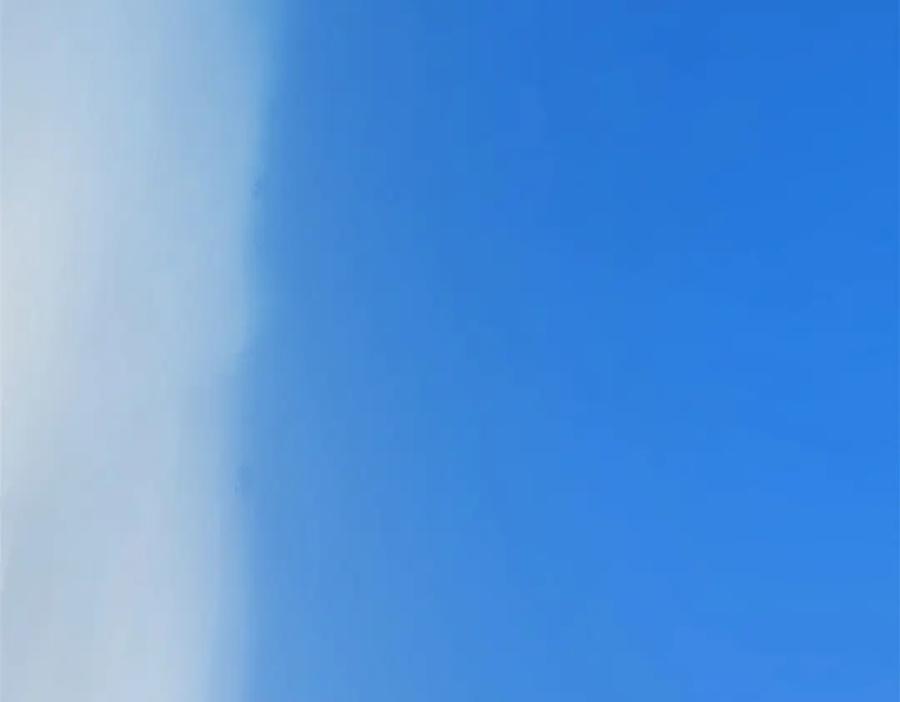 第196页