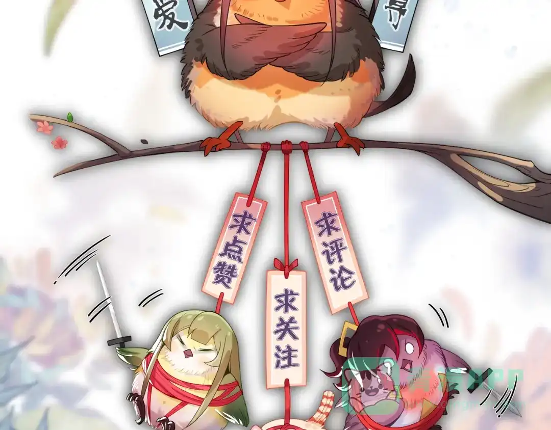 第161页