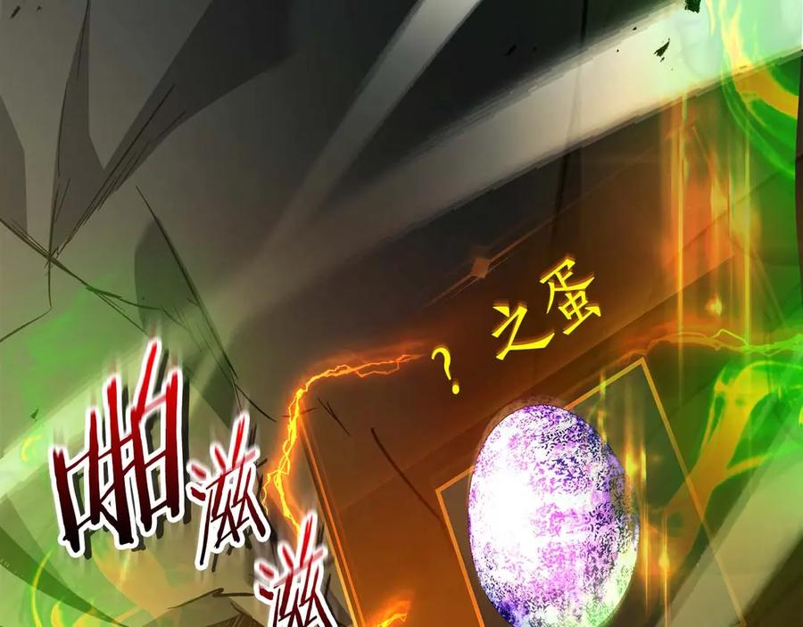 第242页