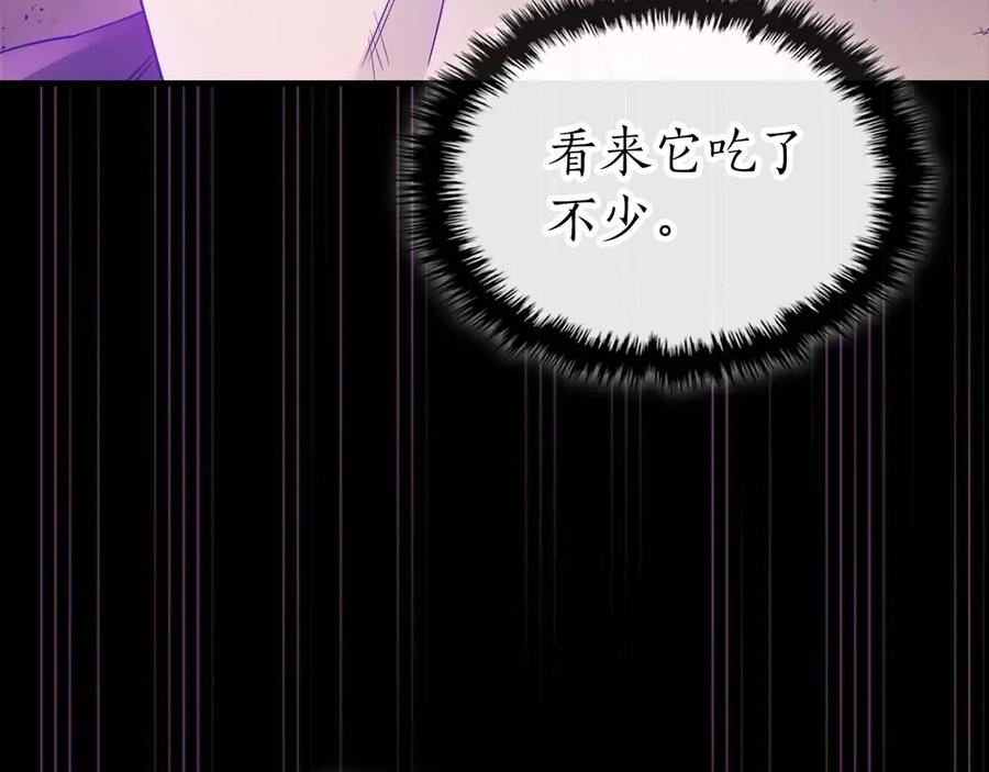 第223页