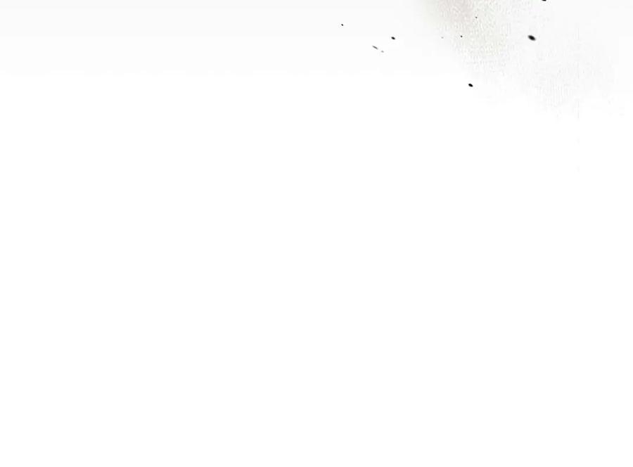 第196页