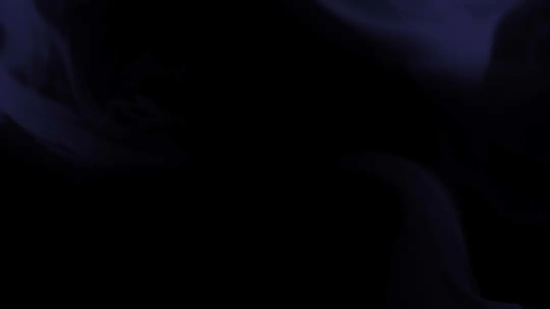第194页