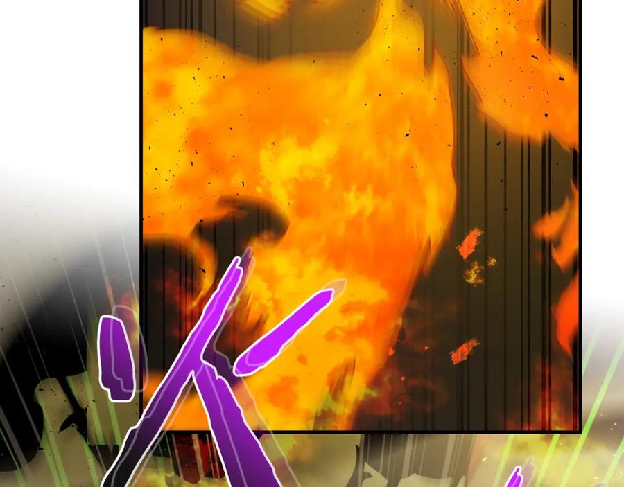 第243页